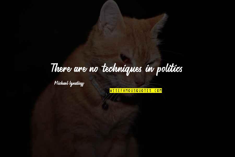 Lady Dimitrescu Famous Quotes By Michael Ignatieff: There are no techniques in politics. Lady Dimitrescu Famous Quotes By Michael Ignatieff: There are no techniques in politics.