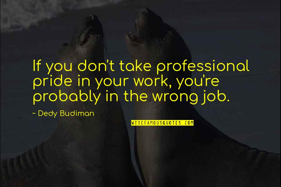 Lady Gaga Enigma Quotes By Dedy Budiman: If you don't take professional pride in your