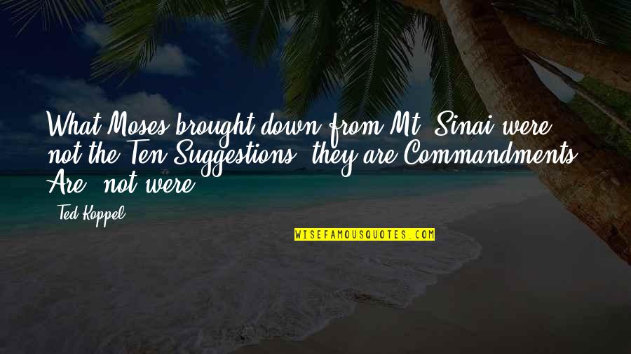 Ladybug And Cat Noir Love Quotes By Ted Koppel: What Moses brought down from Mt. Sinai were Ladybug And Cat Noir Love Quotes By Ted Koppel: What Moses brought down from Mt. Sinai were