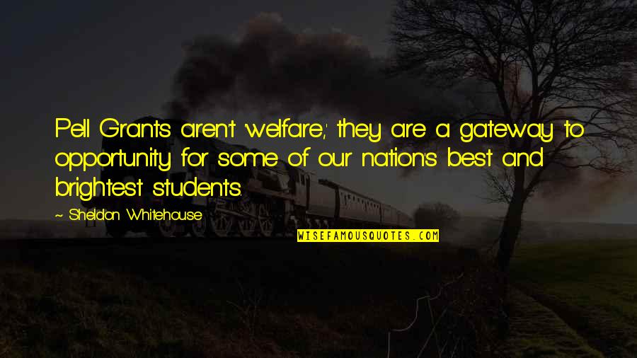 Ladybugs Quotes By Sheldon Whitehouse: Pell Grants aren't 'welfare,' they are a gateway Ladybugs Quotes By Sheldon Whitehouse: Pell Grants aren't 'welfare,' they are a gateway