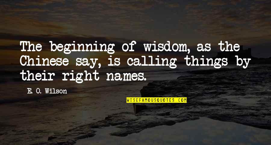 Laethem Chrysler Quotes By E. O. Wilson: The beginning of wisdom, as the Chinese say,