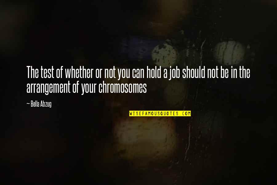 Lafaz Takbir Quotes By Bella Abzug: The test of whether or not you can Lafaz Takbir Quotes By Bella Abzug: The test of whether or not you can