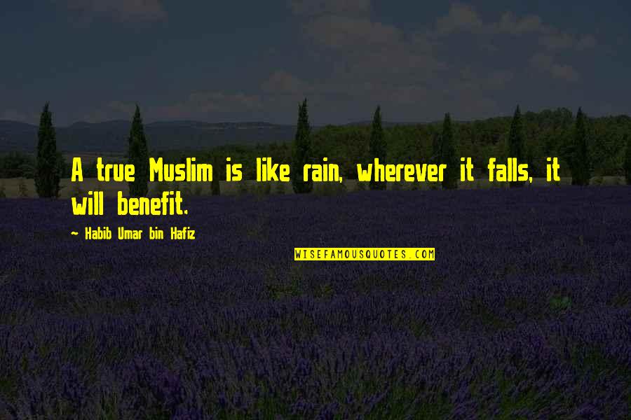 Laframboise Webster Quotes By Habib Umar Bin Hafiz: A true Muslim is like rain, wherever it