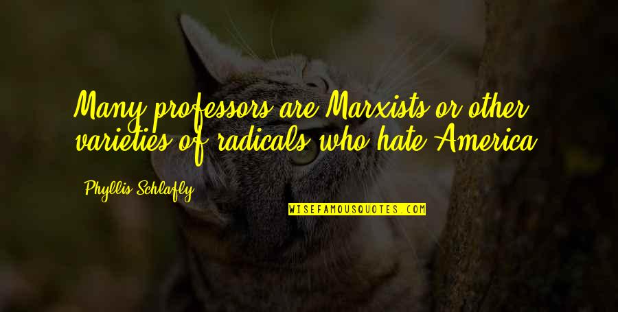 Lagerfelds Cat Quotes By Phyllis Schlafly: Many professors are Marxists or other varieties of