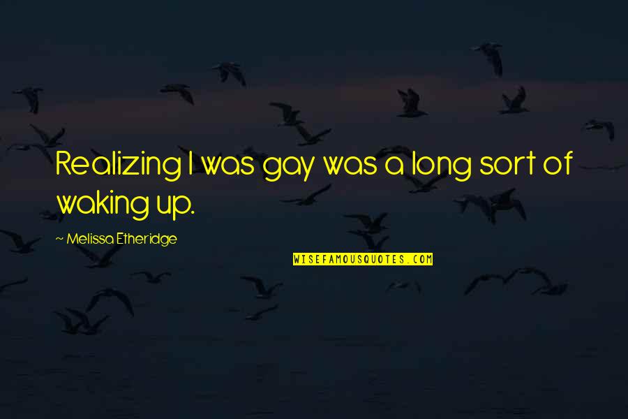 Laggis And Houlihan Quotes By Melissa Etheridge: Realizing I was gay was a long sort Laggis And Houlihan Quotes By Melissa Etheridge: Realizing I was gay was a long sort