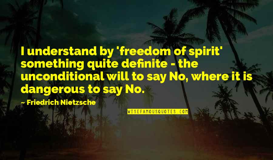 Laghetti Davola Quotes By Friedrich Nietzsche: I understand by 'freedom of spirit' something quite Laghetti Davola Quotes By Friedrich Nietzsche: I understand by 'freedom of spirit' something quite