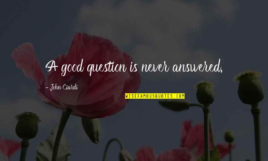 Lagomarcinos Quotes By John Ciardi: A good question is never answered.