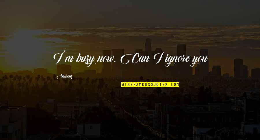 Lagoona Blue Quotes By Various: I'm busy now. Can I ignore you Lagoona Blue Quotes By Various: I'm busy now. Can I ignore you