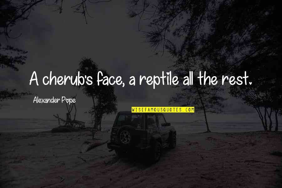 Lagos Street Quotes By Alexander Pope: A cherub's face, a reptile all the rest.