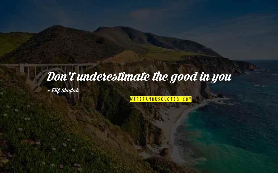 Lagura Enterprises Quotes By Elif Shafak: Don't underestimate the good in you
