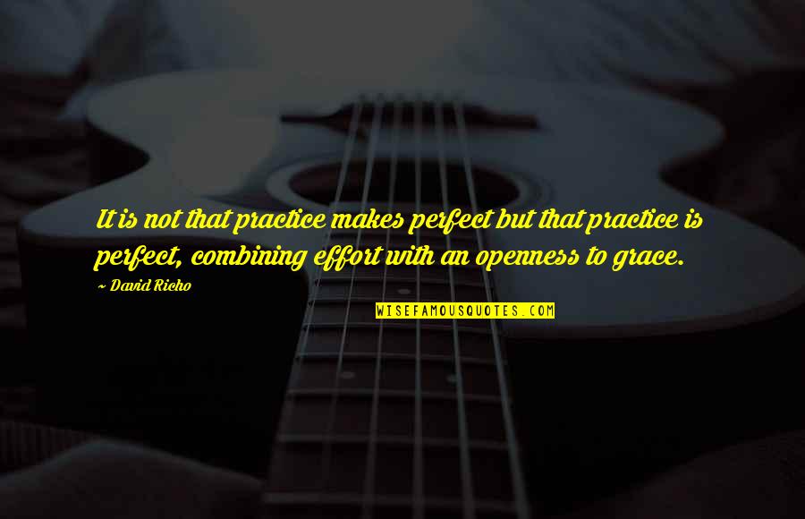 Lahanodolmades Quotes By David Richo: It is not that practice makes perfect but Lahanodolmades Quotes By David Richo: It is not that practice makes perfect but