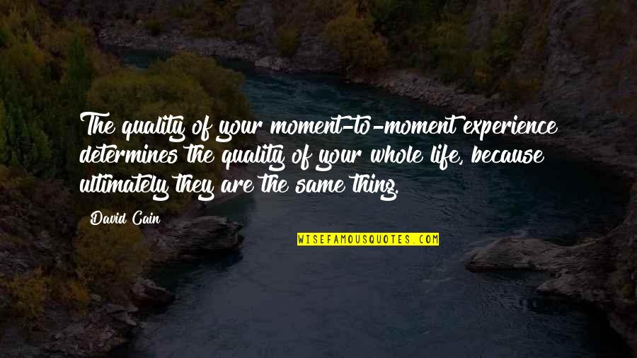 Lahiff Co Quotes By David Cain: The quality of your moment-to-moment experience determines the