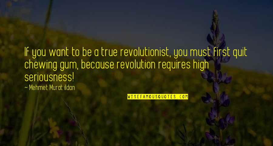 Lahmi The Brother Quotes By Mehmet Murat Ildan: If you want to be a true revolutionist,