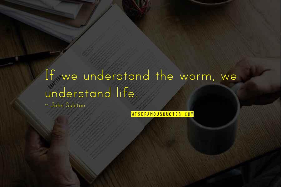 Lai Bhari Marathi Quotes By John Sulston: If we understand the worm, we understand life.