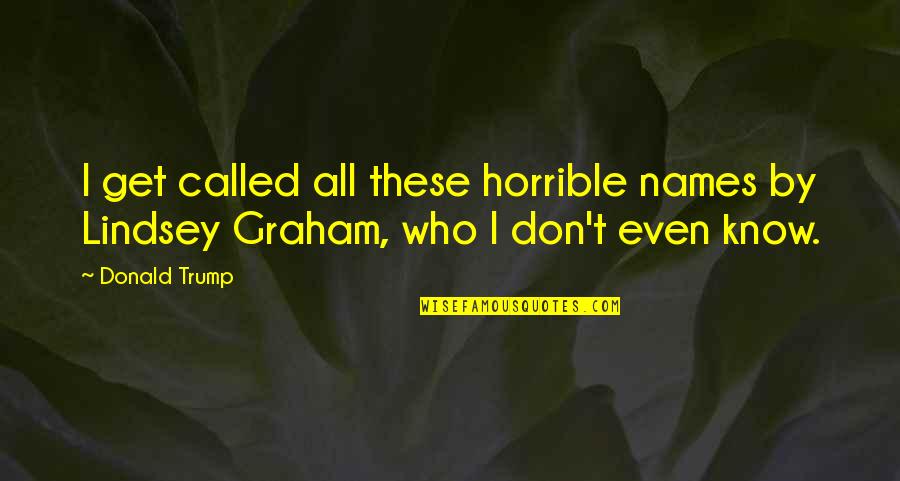 Laikseka Quotes By Donald Trump: I get called all these horrible names by