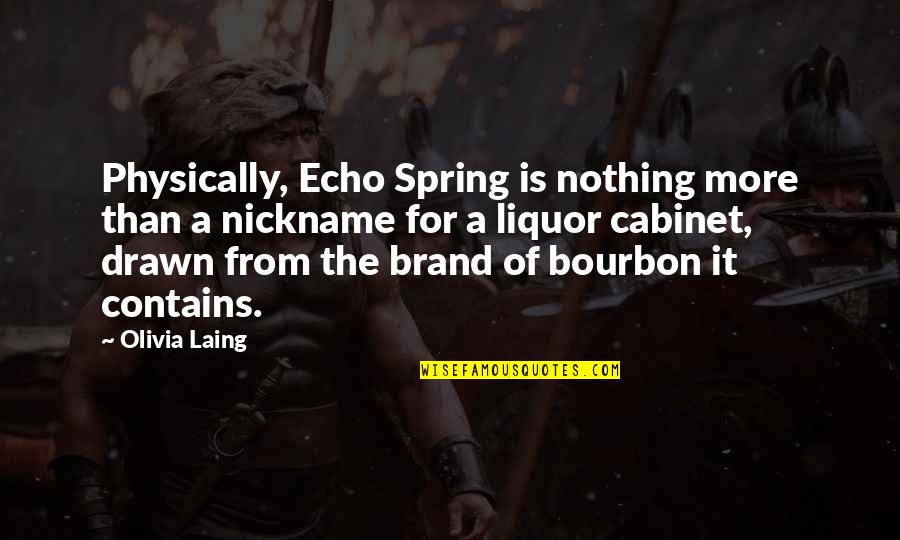 Laing Quotes By Olivia Laing: Physically, Echo Spring is nothing more than a