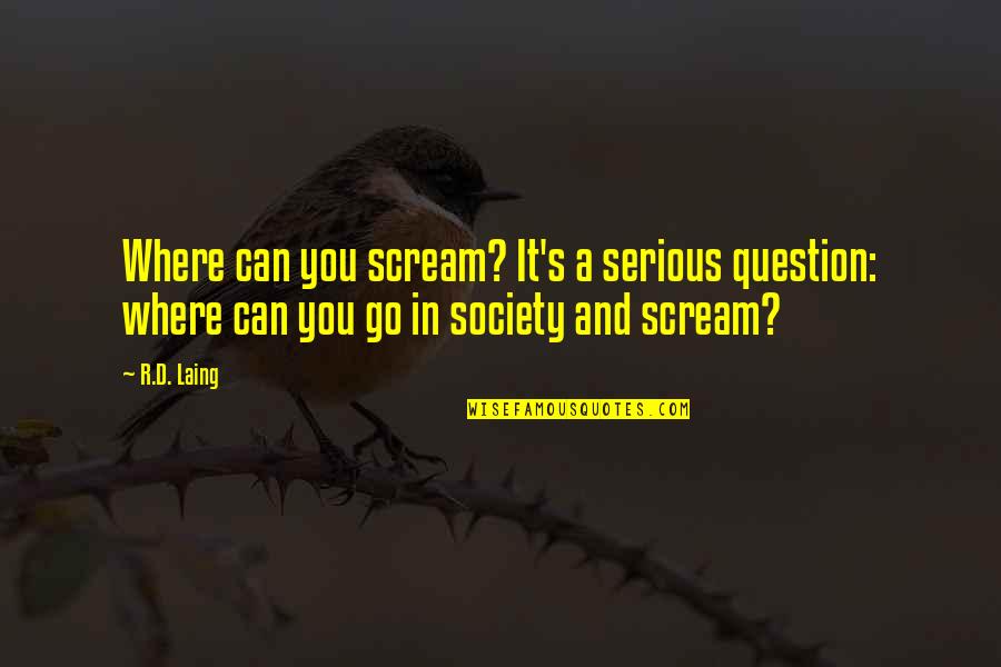 Laing's Quotes By R.D. Laing: Where can you scream? It's a serious question: