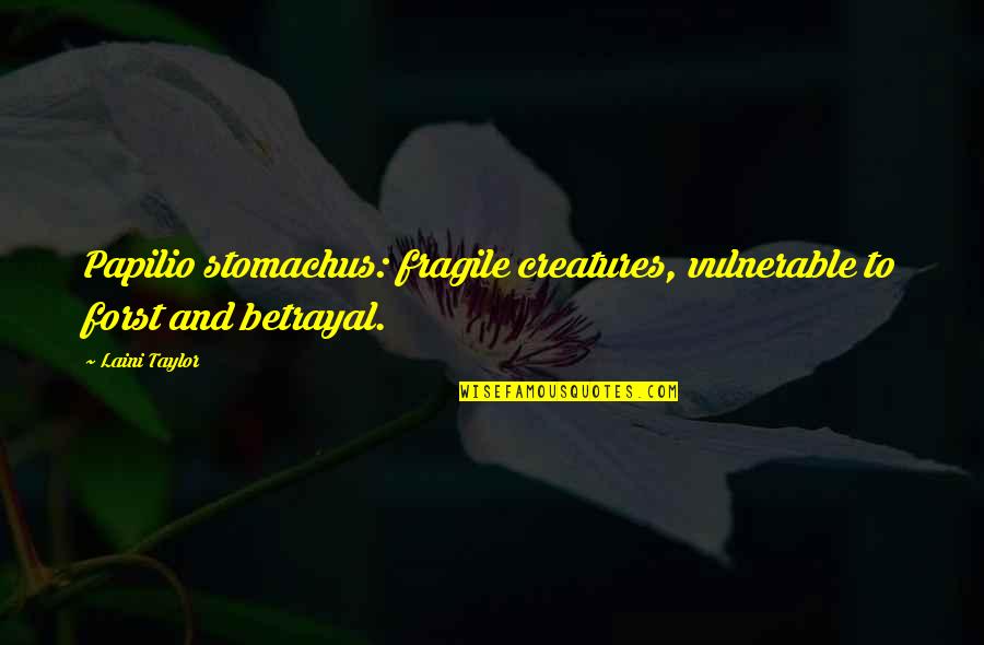 Laini Quotes By Laini Taylor: Papilio stomachus: fragile creatures, vulnerable to forst and