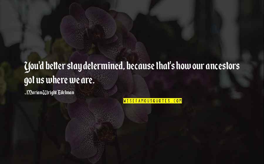 Lainya Shearer Quotes By Marian Wright Edelman: You'd better stay determined, because that's how our Lainya Shearer Quotes By Marian Wright Edelman: You'd better stay determined, because that's how our
