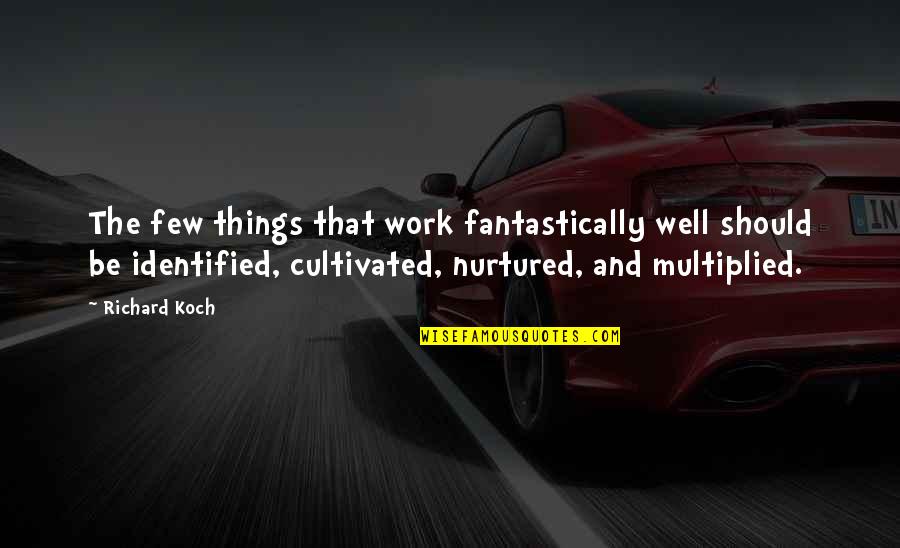 Laipply Md Quotes By Richard Koch: The few things that work fantastically well should