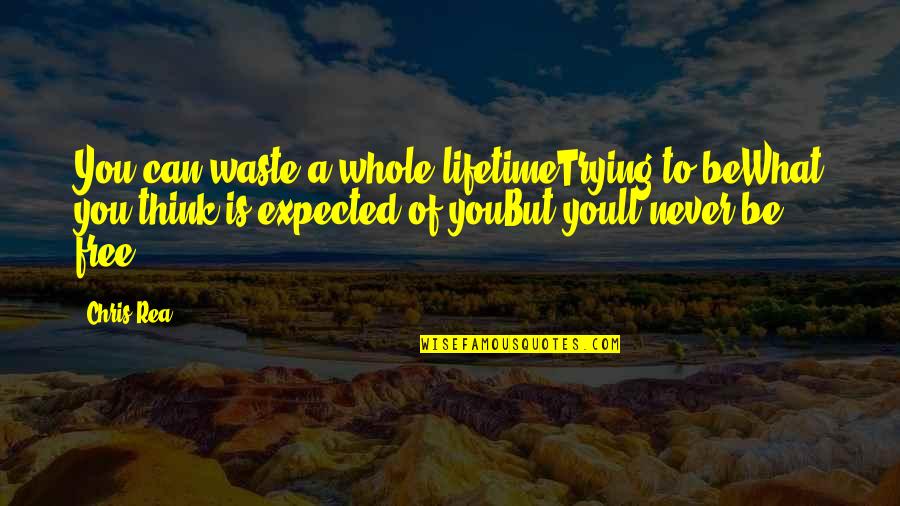 Laisvo Kritimo Quotes By Chris Rea: You can waste a whole lifetimeTrying to beWhat