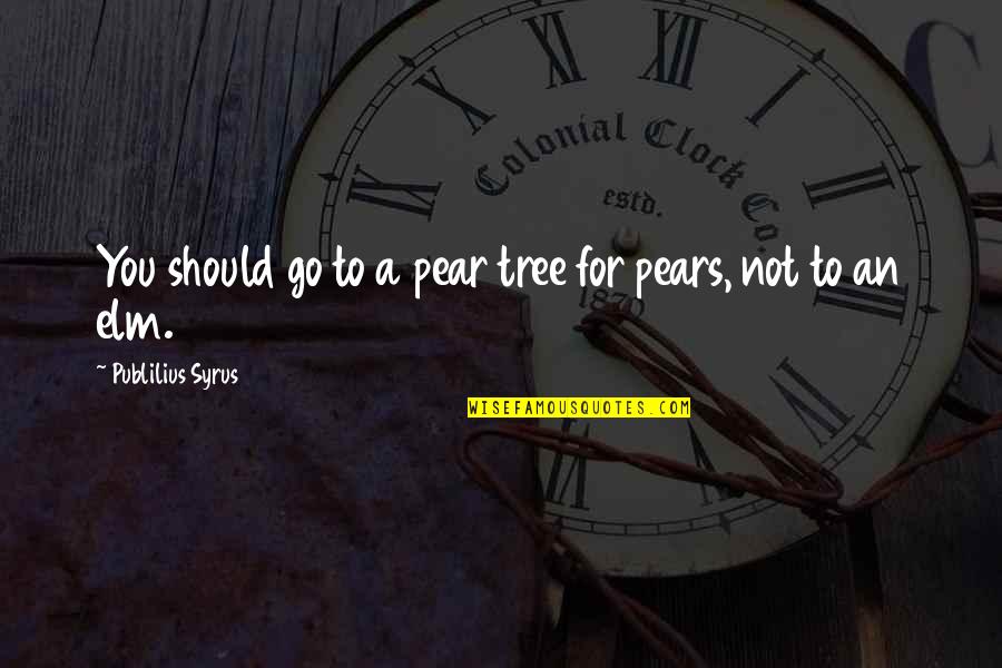 Laithshebli Quotes By Publilius Syrus: You should go to a pear tree for