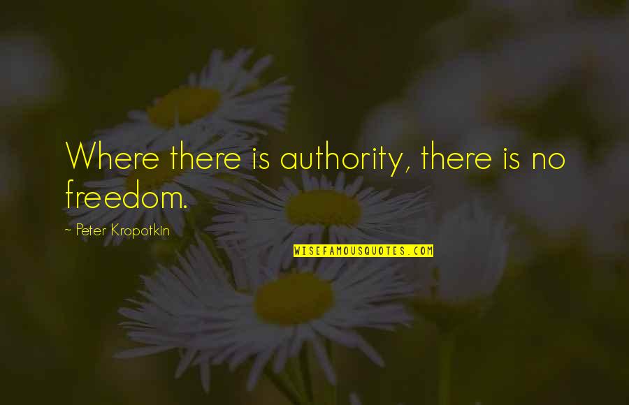 Lake Havasu Quotes By Peter Kropotkin: Where there is authority, there is no freedom.