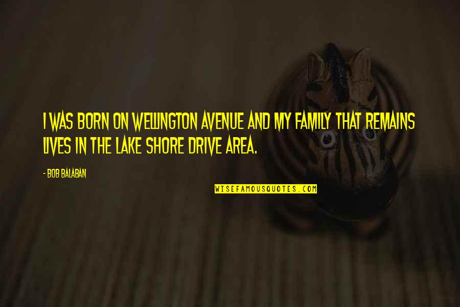 Lake Quotes By Bob Balaban: I was born on Wellington Avenue and my