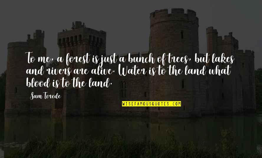 Lakes And Rivers Quotes By Sam Torode: To me, a forest is just a bunch Lakes And Rivers Quotes By Sam Torode: To me, a forest is just a bunch