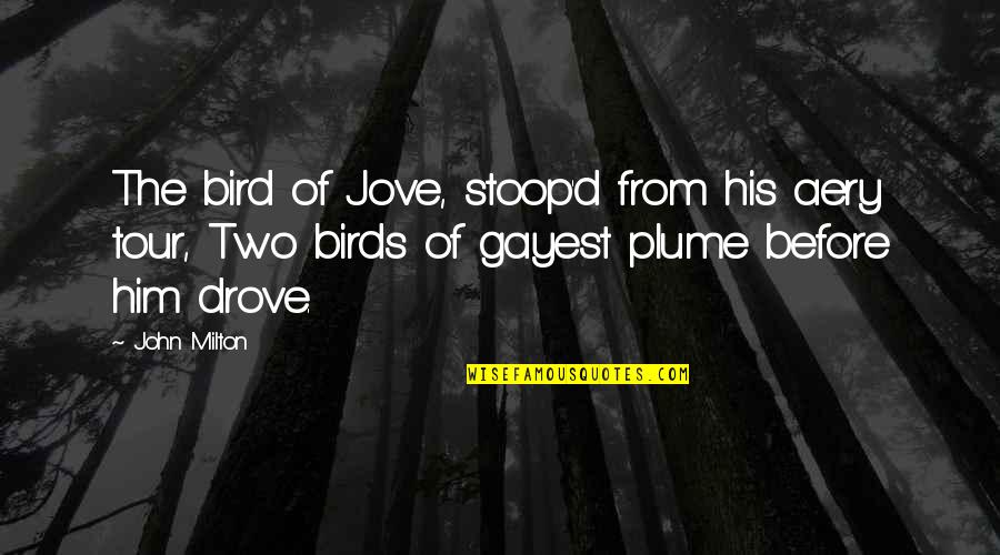 Lakes And Summer Quotes By John Milton: The bird of Jove, stoop'd from his aery
