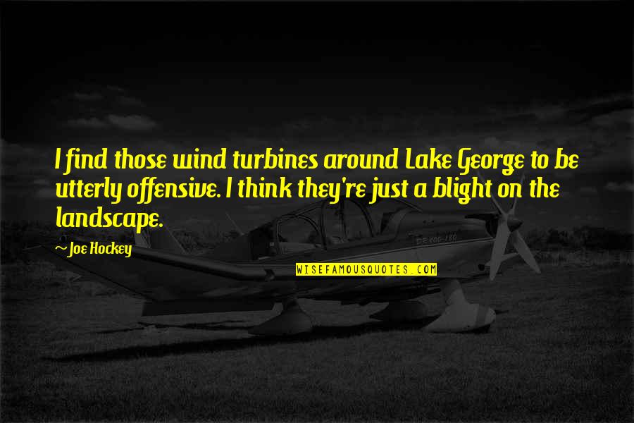 Lakes Quotes By Joe Hockey: I find those wind turbines around Lake George