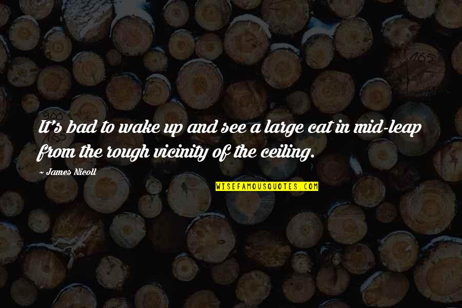 Lakey Box Quotes By James Nicoll: It's bad to wake up and see a Lakey Box Quotes By James Nicoll: It's bad to wake up and see a