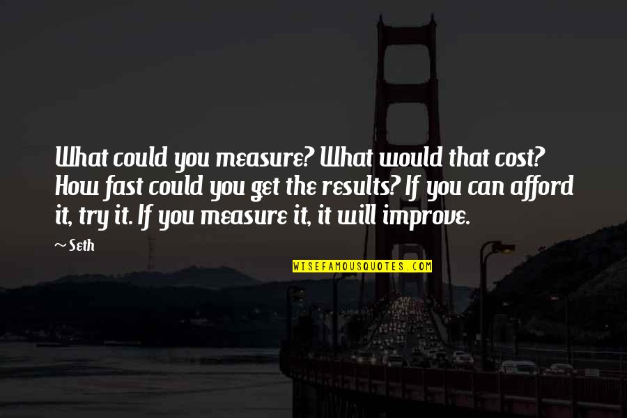 Lakey Inspired Quotes By Seth: What could you measure? What would that cost?