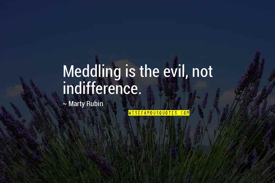 Lakri Quotes By Marty Rubin: Meddling is the evil, not indifference.