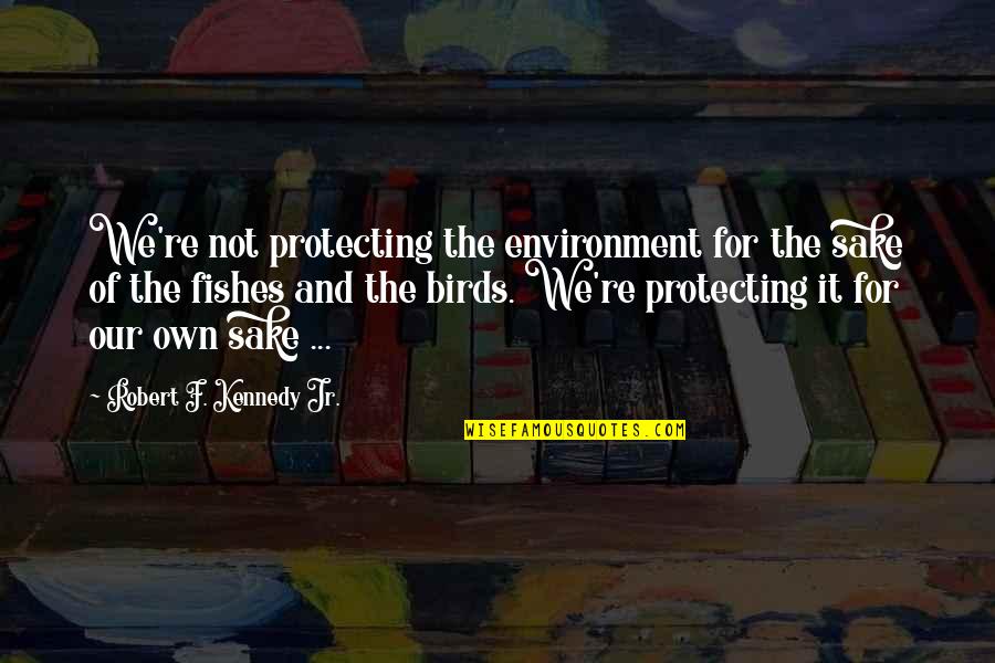 Laksamana Cheng Quotes By Robert F. Kennedy Jr.: We're not protecting the environment for the sake