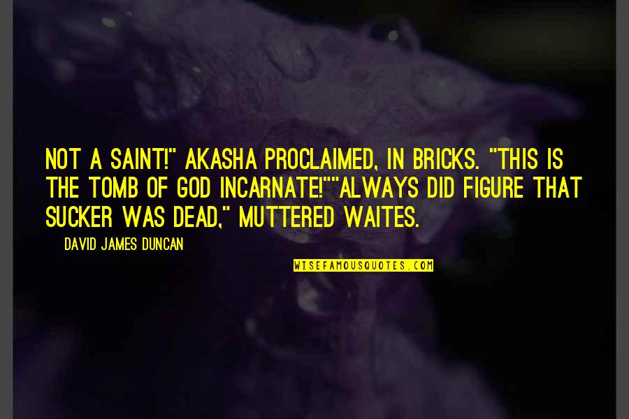 Lakukan Verifikasi Quotes By David James Duncan: Not a Saint!" Akasha proclaimed, in bricks. "This