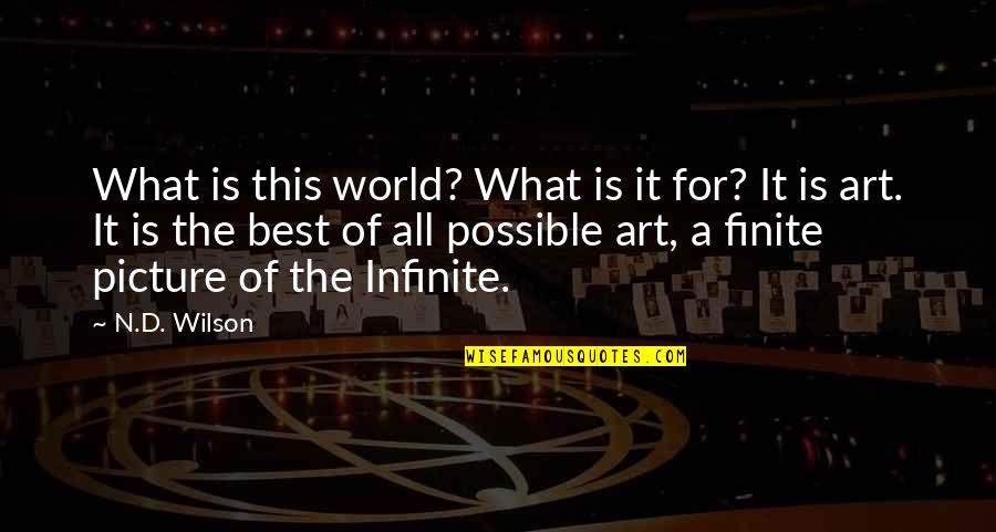 Lallo Cagayan Quotes By N.D. Wilson: What is this world? What is it for?
