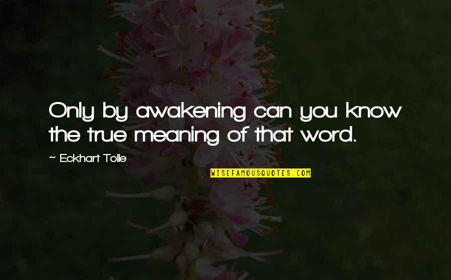 Lalon Quotes By Eckhart Tolle: Only by awakening can you know the true