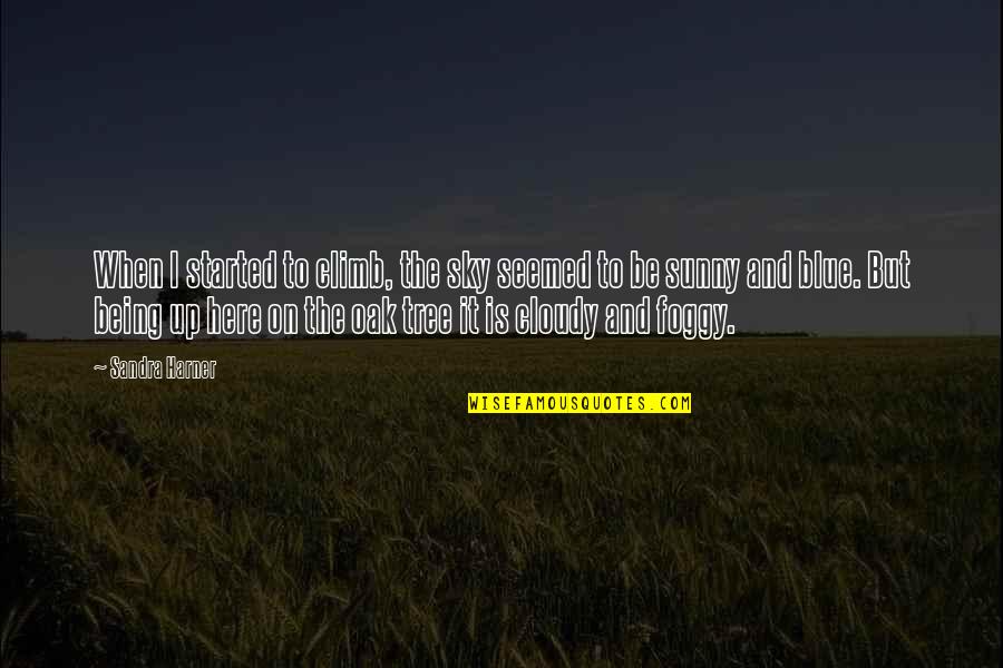 Laltro Tterem Kaposv R Quotes By Sandra Harner: When I started to climb, the sky seemed