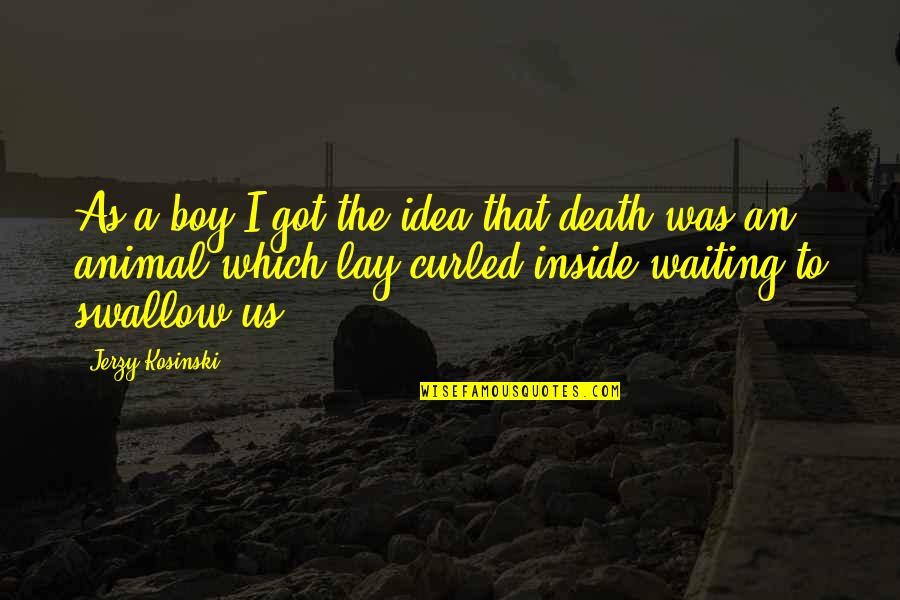 Lama Rod Owens Quotes By Jerzy Kosinski: As a boy I got the idea that Lama Rod Owens Quotes By Jerzy Kosinski: As a boy I got the idea that