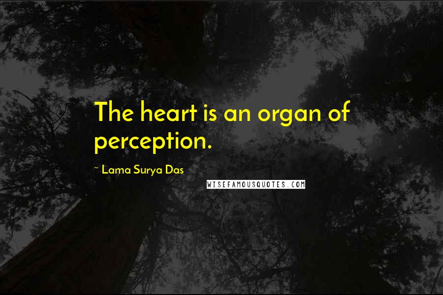Lama Surya Das quotes: The heart is an organ of perception.