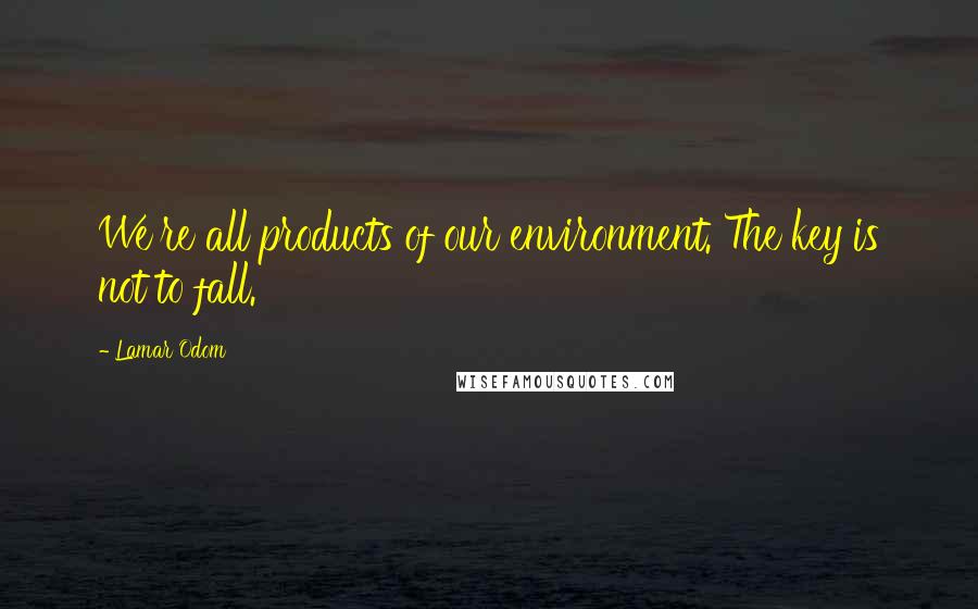 Lamar Odom quotes: We're all products of our environment. The key is not to fall.