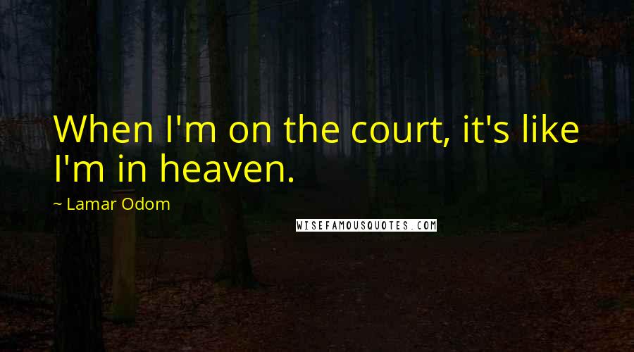 Lamar Odom quotes: When I'm on the court, it's like I'm in heaven.