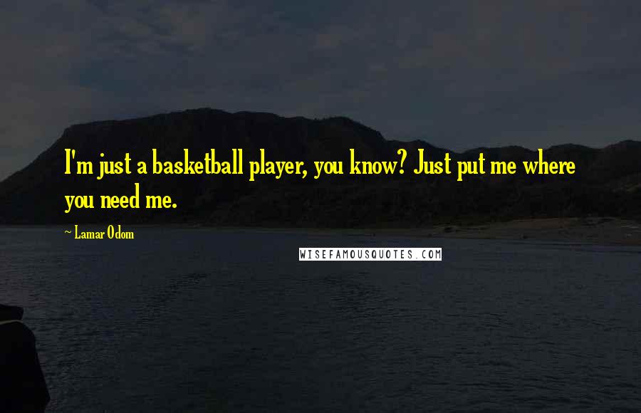 Lamar Odom quotes: I'm just a basketball player, you know? Just put me where you need me.