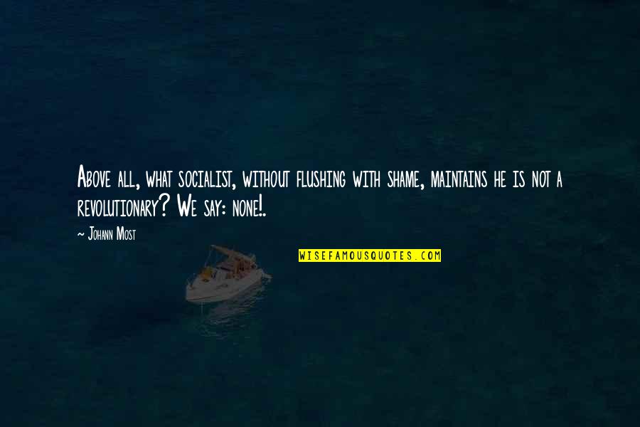 Lamathue Quotes By Johann Most: Above all, what socialist, without flushing with shame, Lamathue Quotes By Johann Most: Above all, what socialist, without flushing with shame,