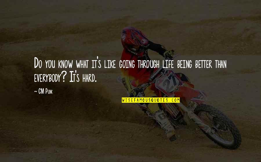 Lambalar Nasil Quotes By CM Punk: Do you know what it's like going through