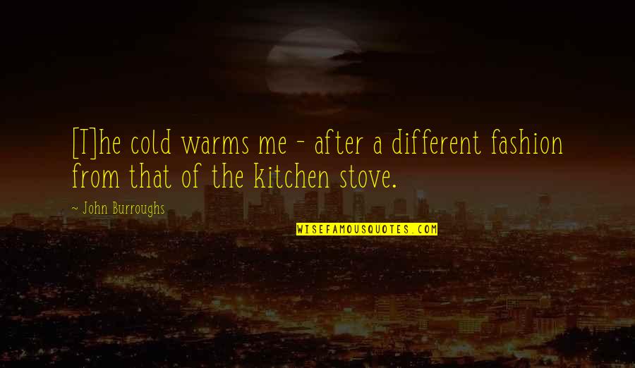 Lambasting Origin Quotes By John Burroughs: [T]he cold warms me - after a different