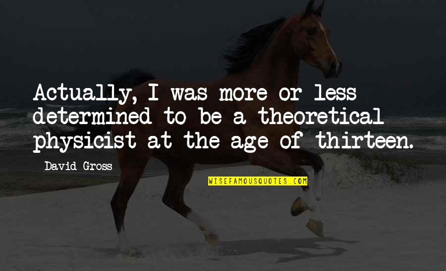 Lambermont Akkoord Quotes By David Gross: Actually, I was more or less determined to Lambermont Akkoord Quotes By David Gross: Actually, I was more or less determined to