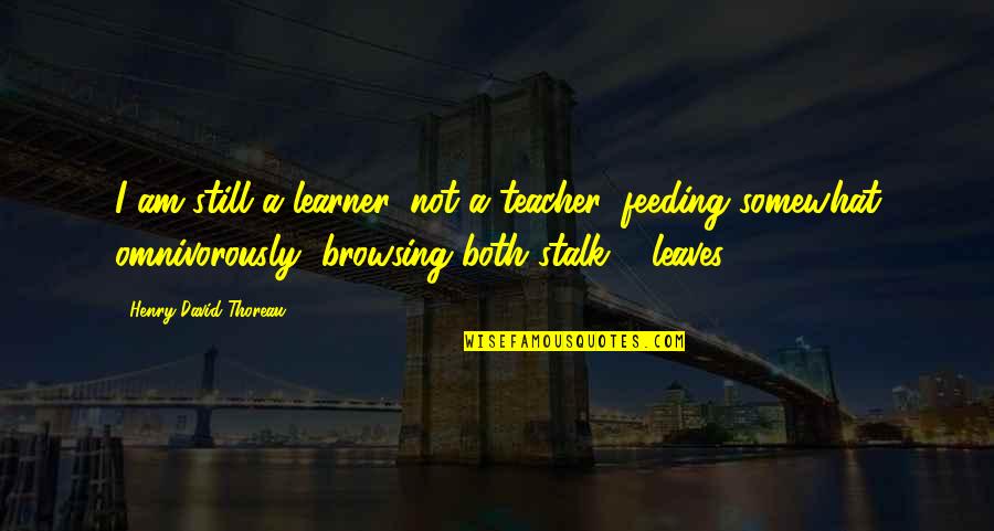 Lambo Bovino Quotes By Henry David Thoreau: I am still a learner, not a teacher,