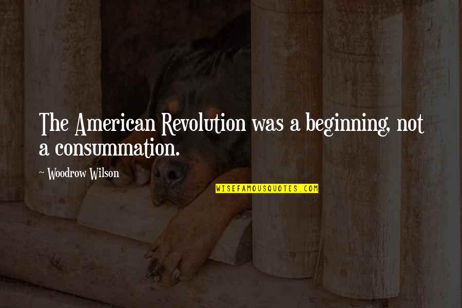 Lambrini Varetimos Quotes By Woodrow Wilson: The American Revolution was a beginning, not a
